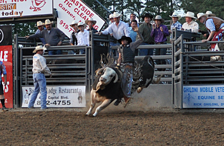 May 2011: Bull Riding