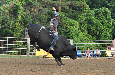 May 2011: Bull Riding 3